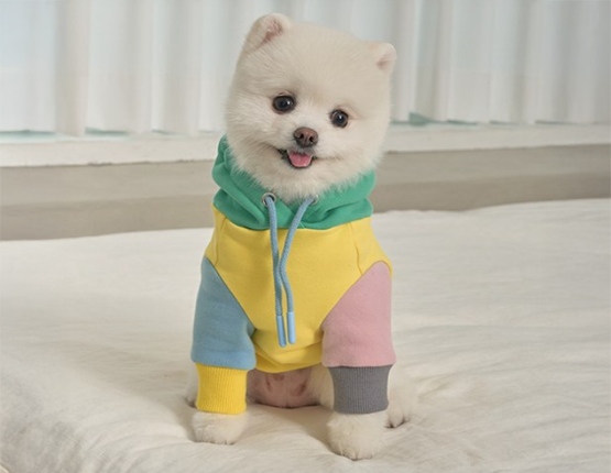 슈퍼펫 강아지옷 애견의류 중형견 대형견 컬러풀후드