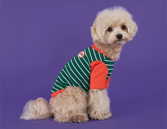 도그아이 강아지 단가라 나그랑티